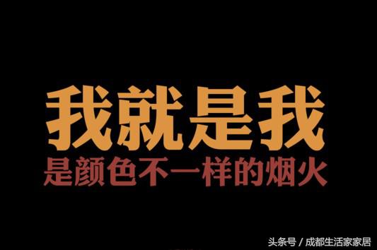 家装成什么样子,家装效果表现