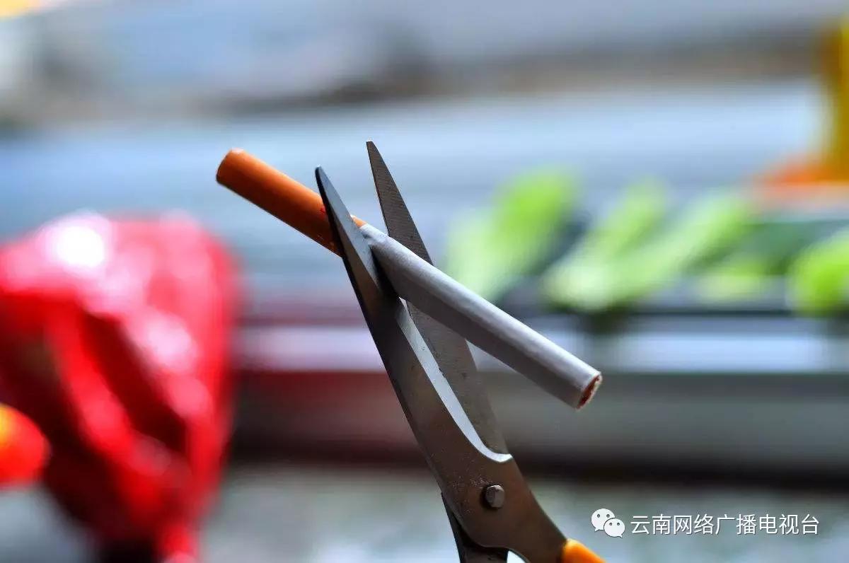 一场特殊的探访,一场特别的体验活动