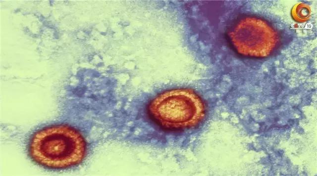 嘴角起泡上火了吃什么降火最快,嘴角起泡怎么判断是疱疹还是上火