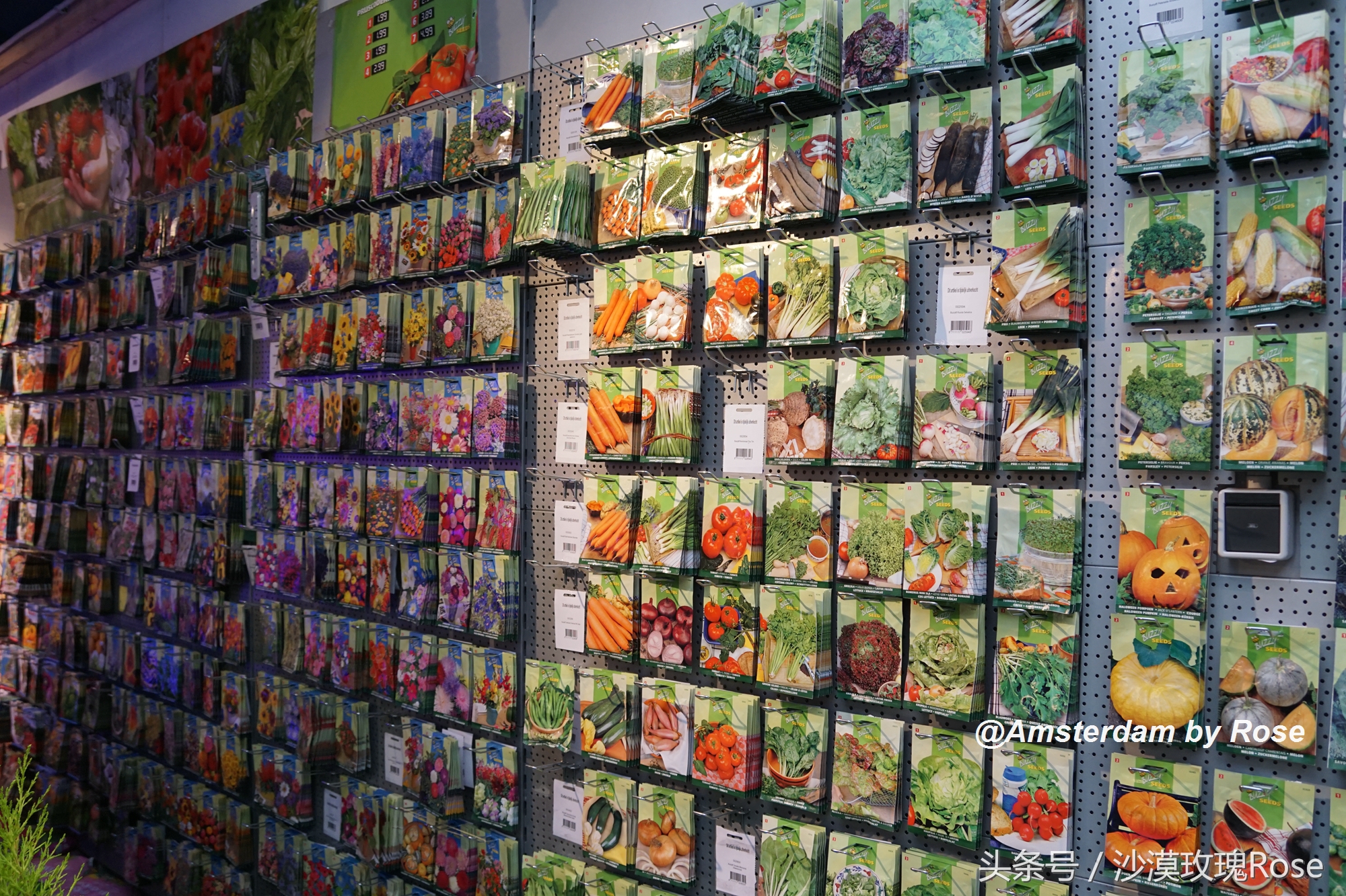 建在水上的鲜花市场，荷兰女王也骑车来买花