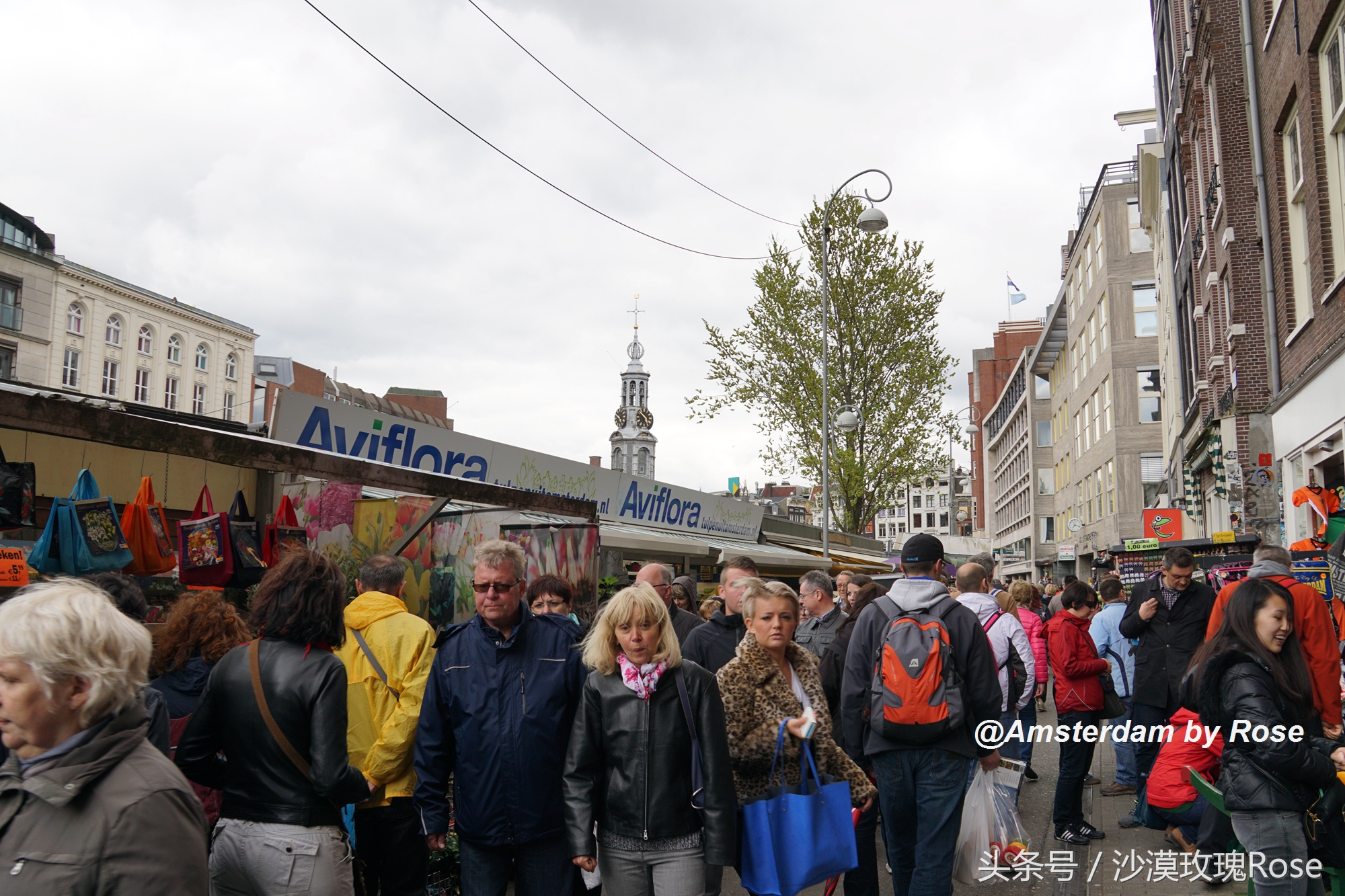 建在水上的鲜花市场，荷兰女王也骑车来买花