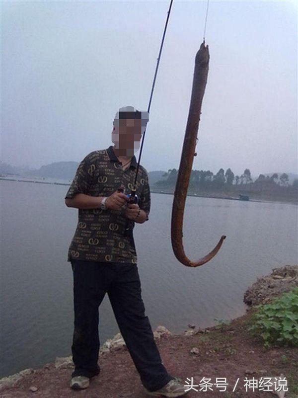 黄鳝有毒到底有多严重,黄鳝可怕吗