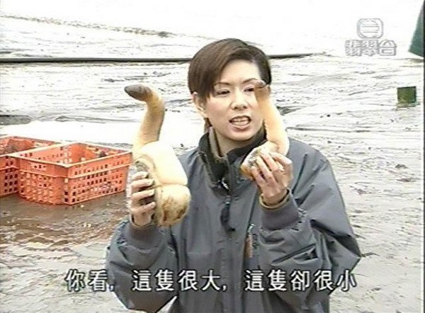 捕捞到各种鱼,捕捞到岸分拣