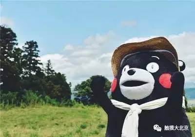 4月整整11天假!瓷器们,这些好消息请查收!