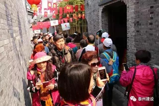 广东首次开往泰州的“花境”梦东南专列近600名游客畅游稻河湾