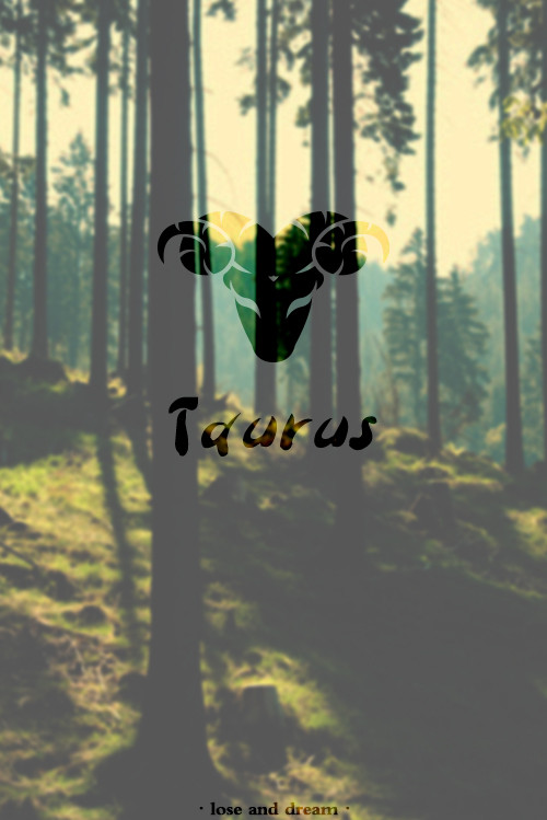 十二星座壁纸图片高清手机,十二星座高清动态触摸壁纸下载