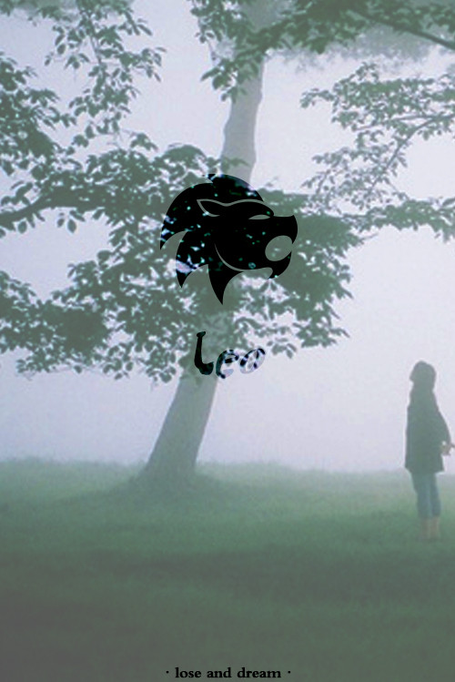 十二星座壁纸图片高清手机,十二星座高清动态触摸壁纸下载