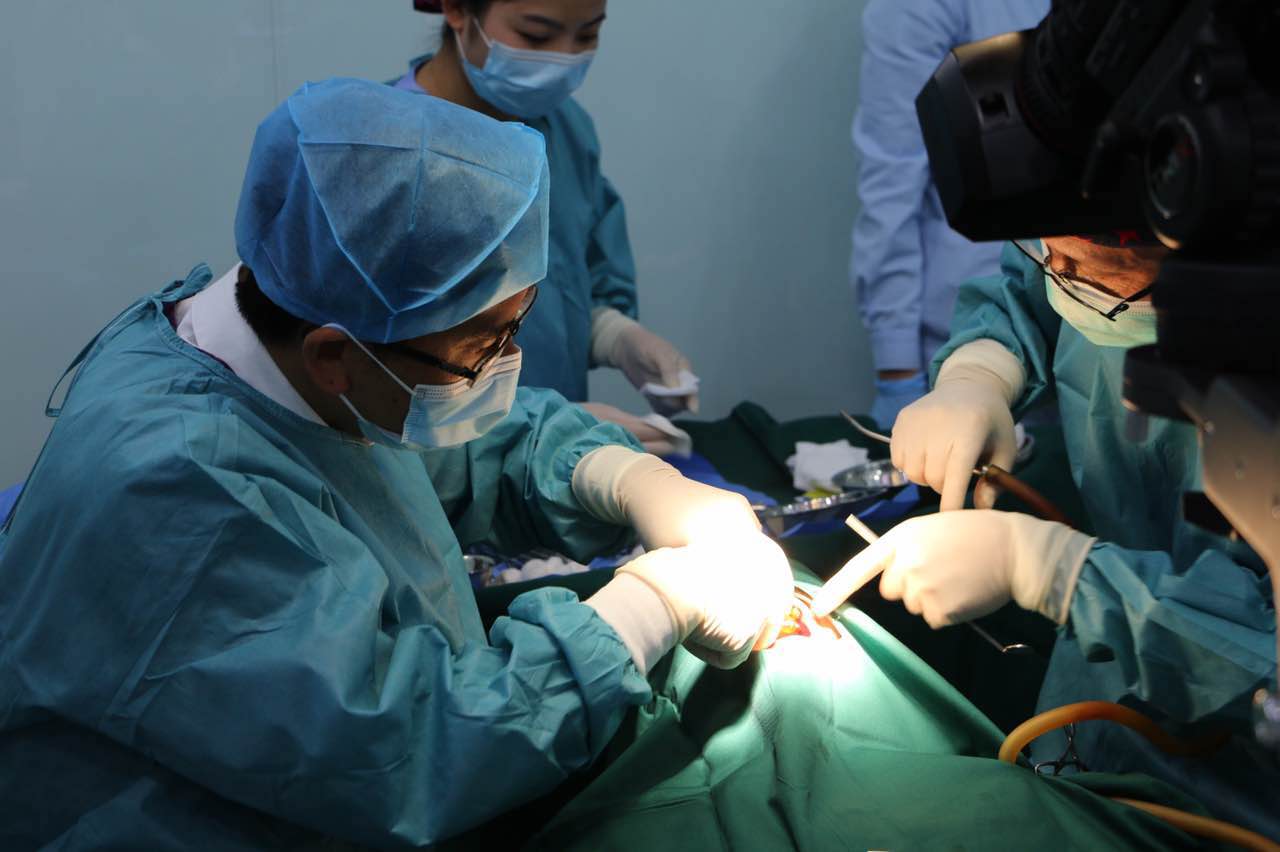 种植牙手术直播,种牙免费直播