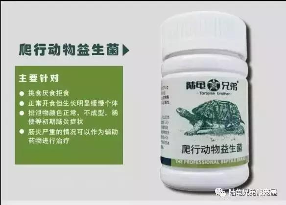 十年磨一剑光启技术深度分析,如何挑选辐射陆龟