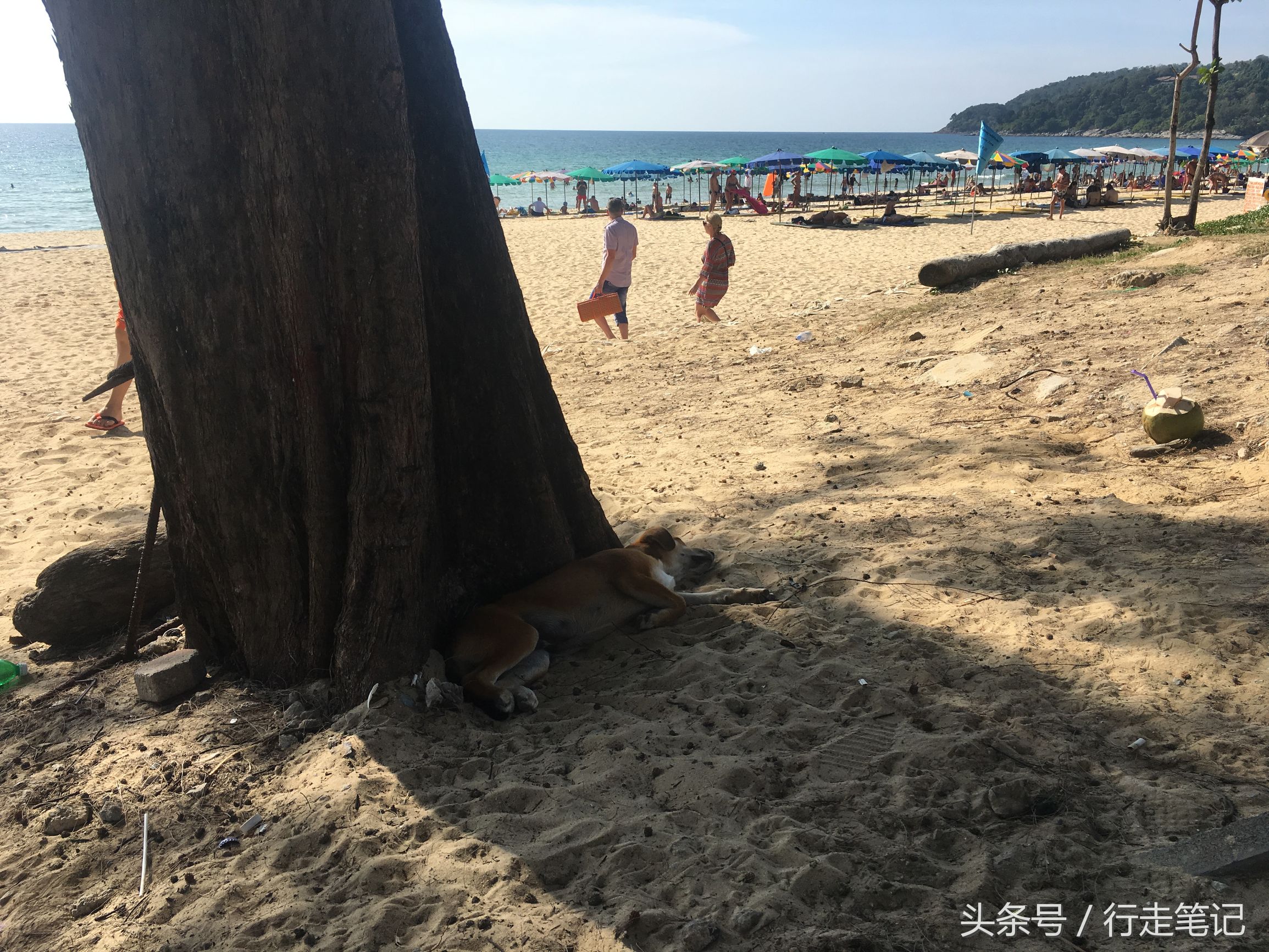 泰国去不了了吗,泰国去不去卡点