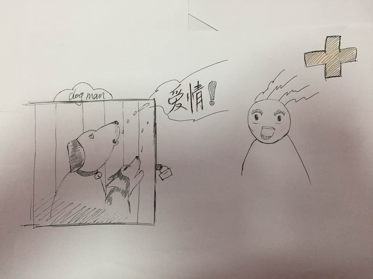 宠物狗怎么护理大姨妈,你们知道狗狗也会有母爱情绪吗