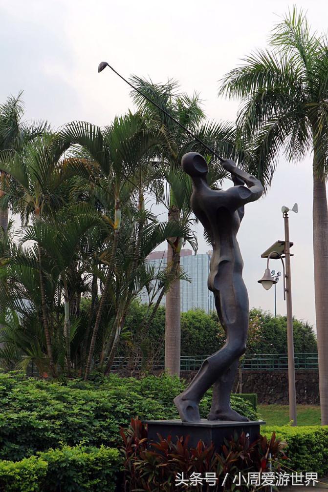 不用去日本深圳就能看樱花,日本樱花必看