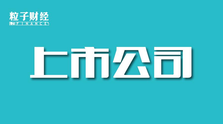 匹凸匹股票事件案例分析,巨亏超400亿