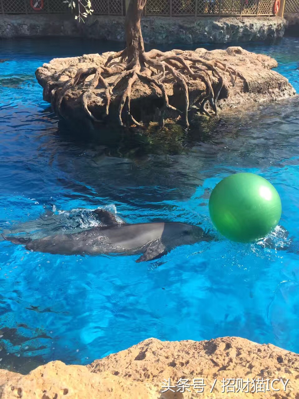 珠海长隆奇幻之旅,广州珠海长隆两天一夜攻略