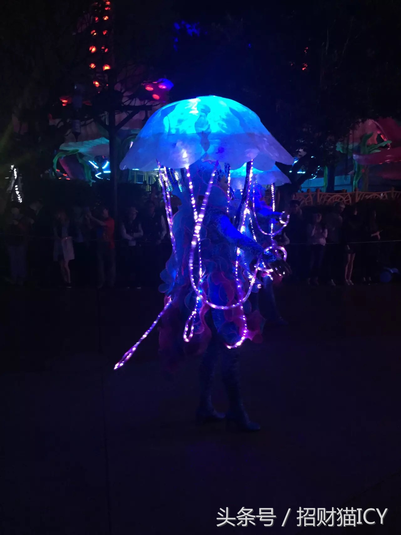 珠海长隆奇幻之旅,广州珠海长隆两天一夜攻略