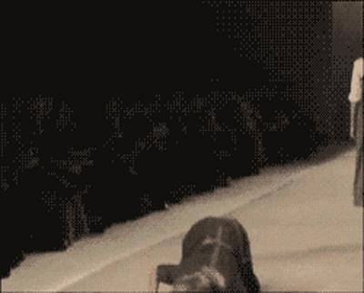 稀奇古怪的保险,有什么奇奇怪怪的保险