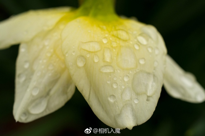 宾得kp值得入手么,宾得kp拍视频