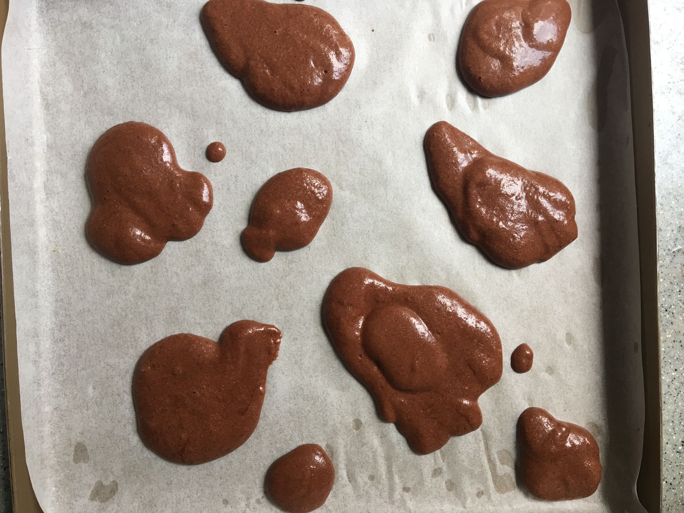 黑白花奶牛与娟姗奶牛的区别,黄白花奶牛好还是黑白花奶牛好