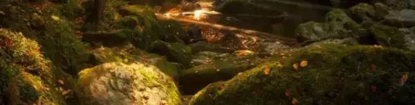 穿上你的衣服沾染你的气息,穿上属于自己的衣服