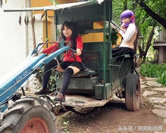 成年袋鼠打架时哪个部位支撑身体,袋鼠和袋鼠为什么喜欢打架