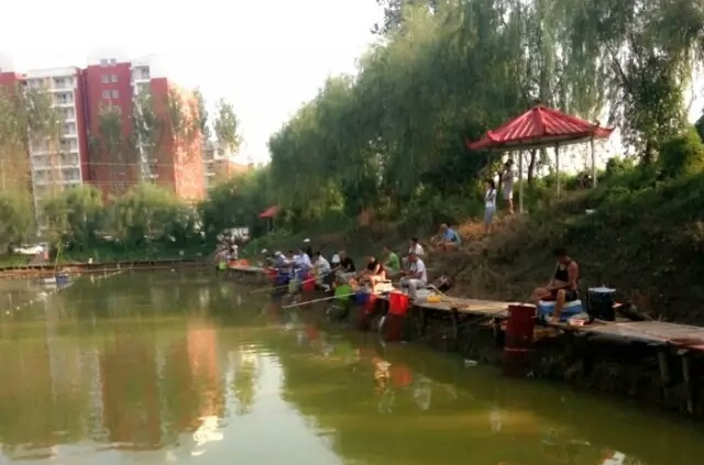 看浮漂提竿技巧视频教学详解,浮漂看吃口