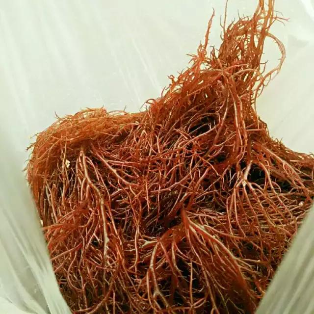 青岛市场火的小吃,最近很火的青岛菜