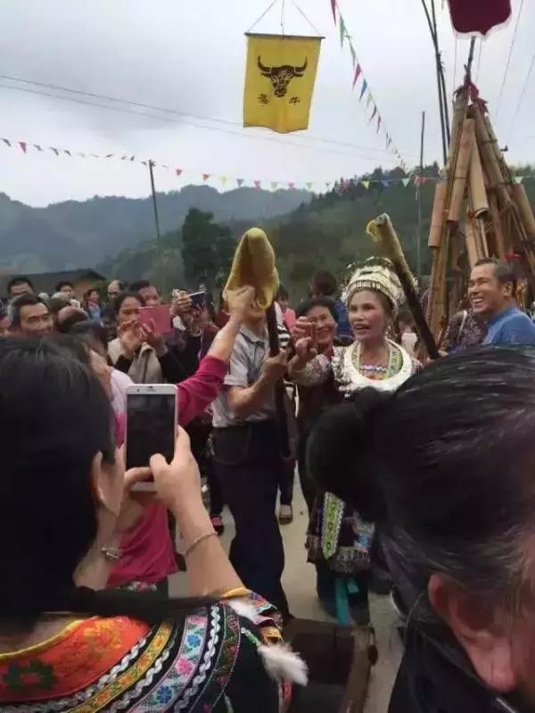 柳州“三月三”最全游玩攻略