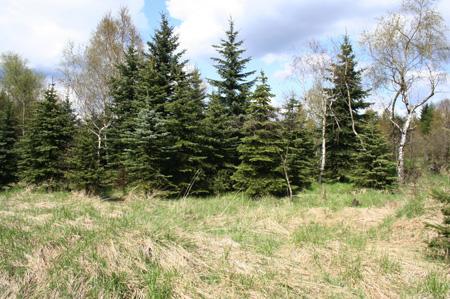 Photoshop设计梦幻边框的详细流程,photoshop项目式教程