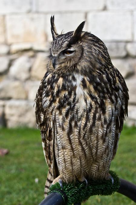 Photoshop设计梦幻边框的详细流程,photoshop项目式教程