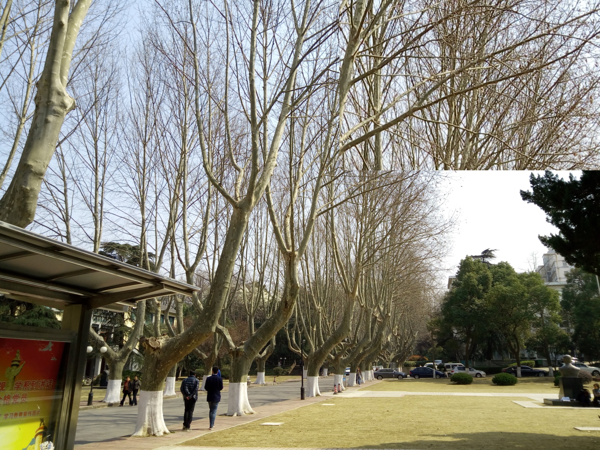 魅蓝5s详细参数,魅蓝5s全部参数