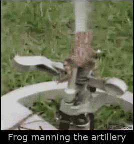 足球进球观众呐喊庆祝瞬间,足球逗比瞬间