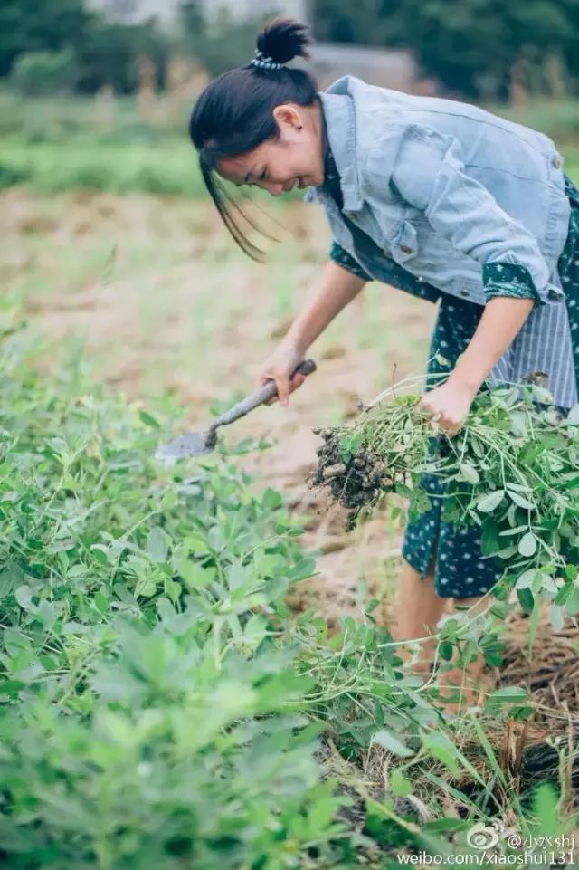 她是“成都第一私房菜美女老板”，与李易峰合作，和方大同录节目