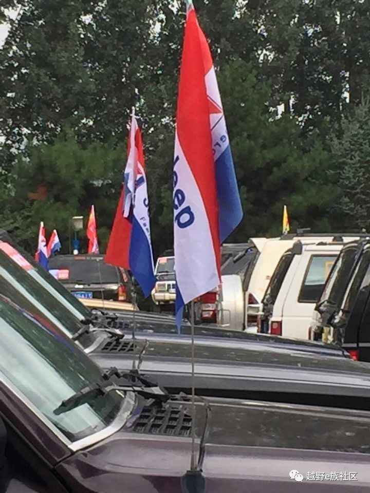 陪伴是最长情的告白——我和切诺基的故事