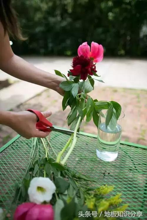 怎样插鲜花可以保鲜的时间久一点,插好的鲜花可以保持几天