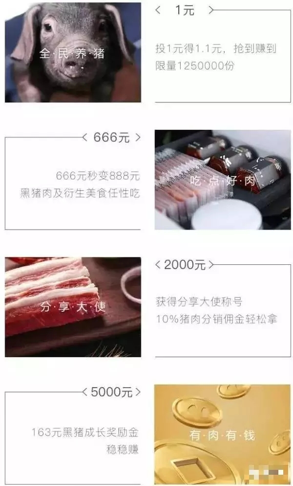 造吗、人家养的猪都做成理财产品了，你还在傻傻卖猪肉