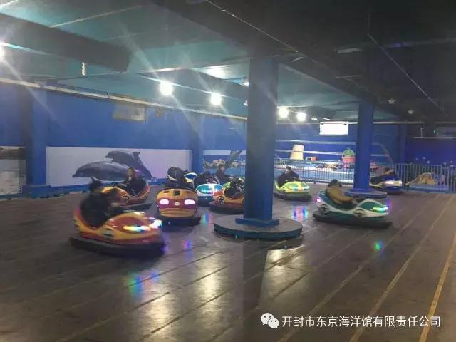 下雨适合去极地海洋世界玩吗,下雨天极地海洋世界