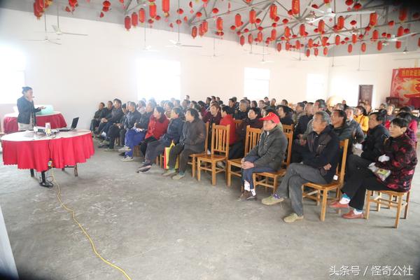 柑橘夏梢怎么防虫害,柑橘果树除虫最有效的方法