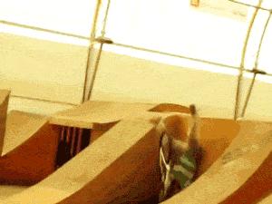 0成本丰唇大法,丰唇超简单