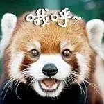 2019年新番一览列表,2019年新番一览表