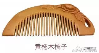 想要瘦胳膊和背,想要瘦肩膀怎么办