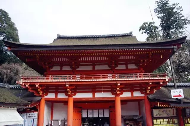 日本奈良看小鹿,日本奈良看小鹿视频