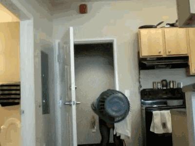 愚人节怎么过才不会被人看见,你知道愚人节怎么过的吗