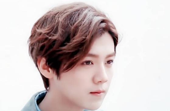 同人娱乐,鹿晗同人综艺