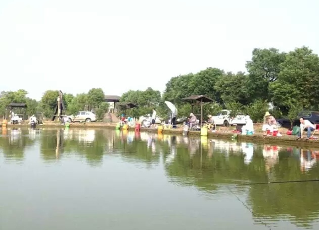 打窝钓鱼的六大方略,十六斤玉米粉打窝