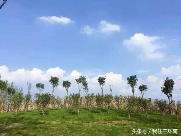 郑州市周边有哪些免费的公园,郑州十大免费公园排名