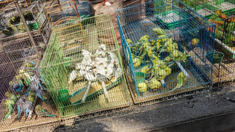 实拍：西安市井的味道