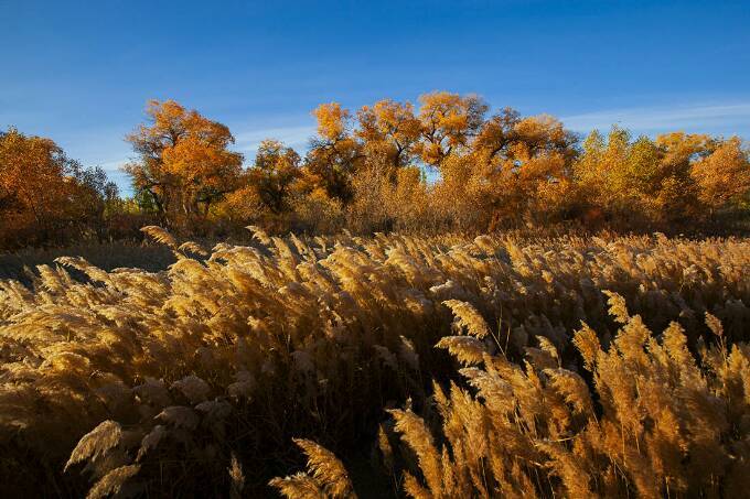 媒体探秘东风航天城,中国东风航天城
