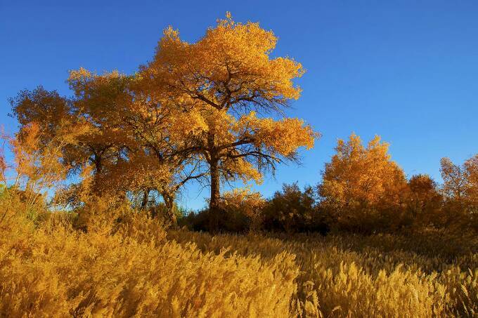 媒体探秘东风航天城,中国东风航天城