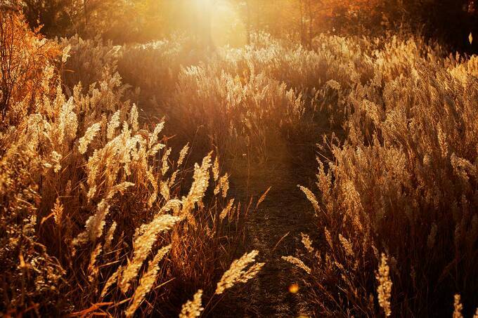 媒体探秘东风航天城,中国东风航天城