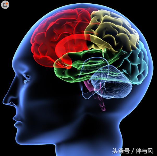 老年痴呆新药研究成果,40赫兹光照射治疗老年痴呆